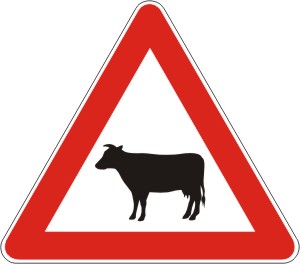 A43 domaceziv